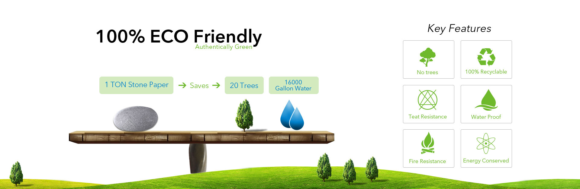 Qualität Stein-Papierrolle usine